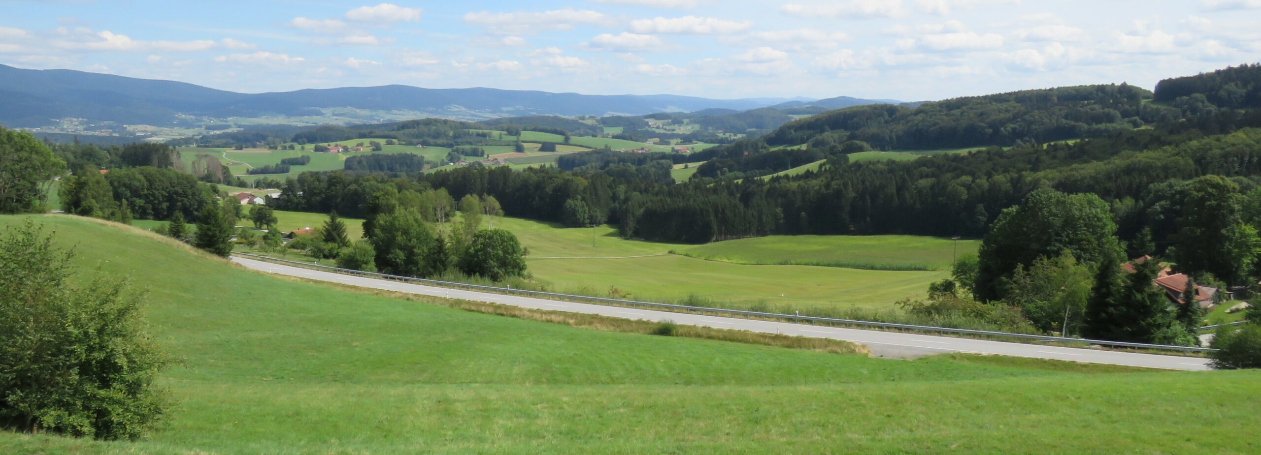 Fernblick